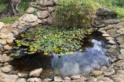 Landejendom i L'Ampolla, Tarragona, L'Ampolla - € 459.000 | Ref: Finca Bouddha - foto 17